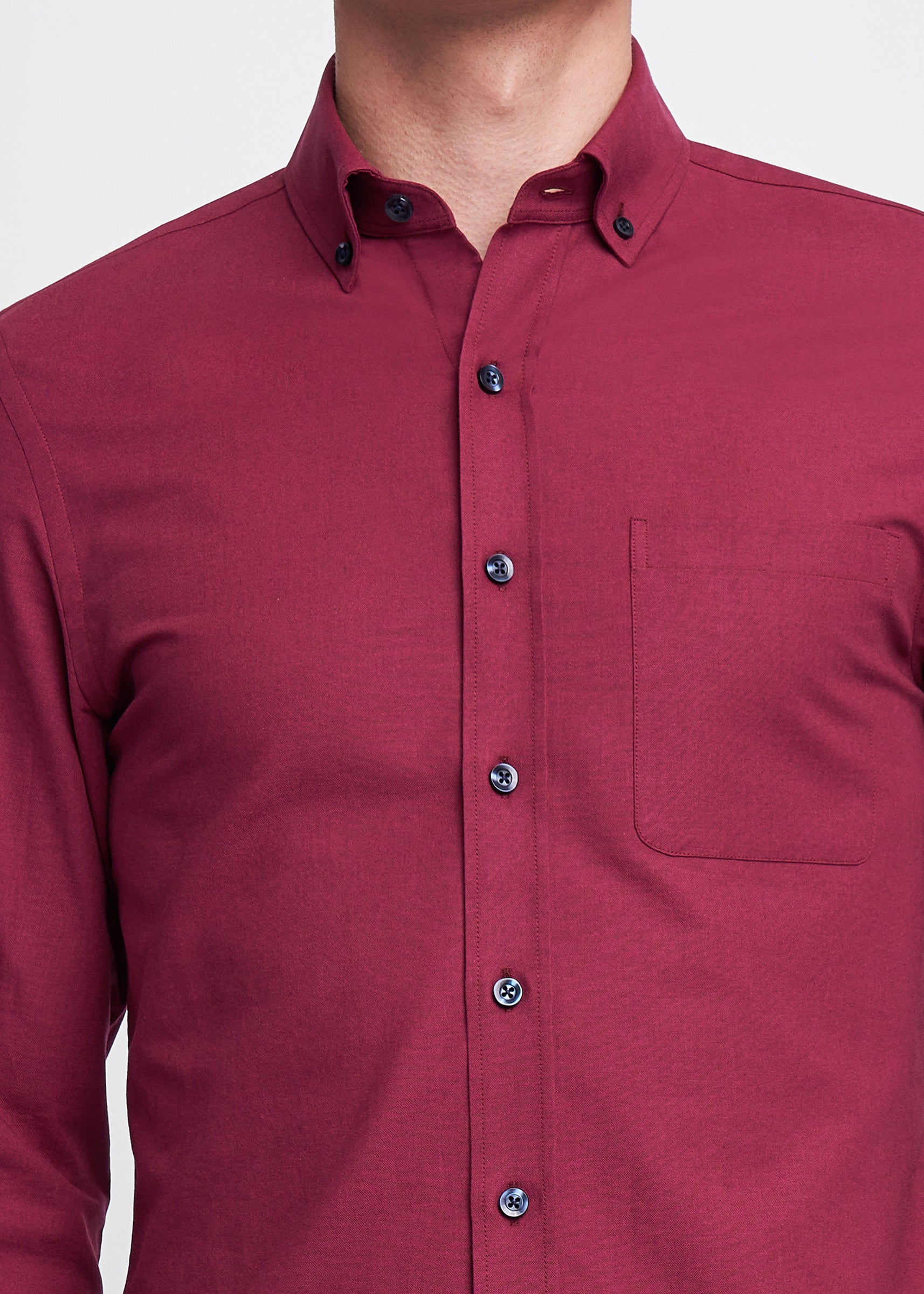 Hudson Oxford Shirt