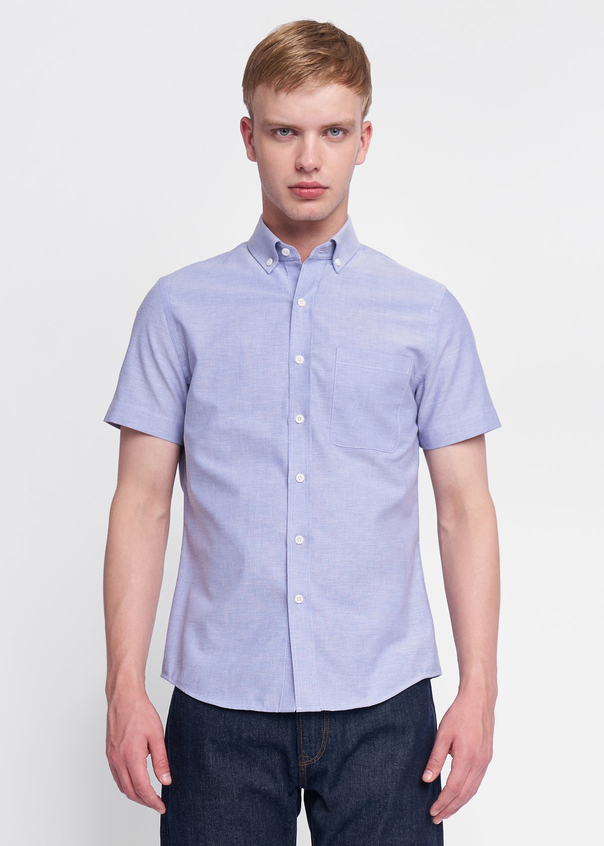 Hudson Oxford Shirt
